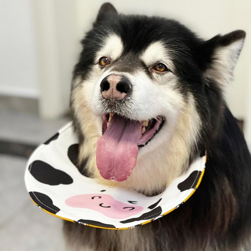 Food Storage With Scoop - Bib bandana anti air untuk anjing,