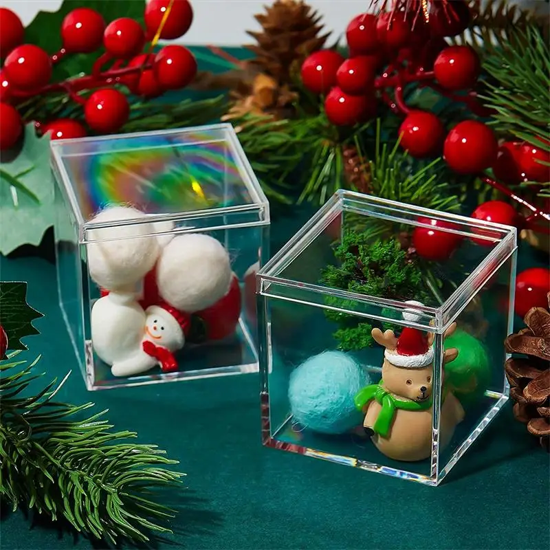 Kotak akrilik transparan 12 bu - Xmas Food Storage Containers ulasan dan harga