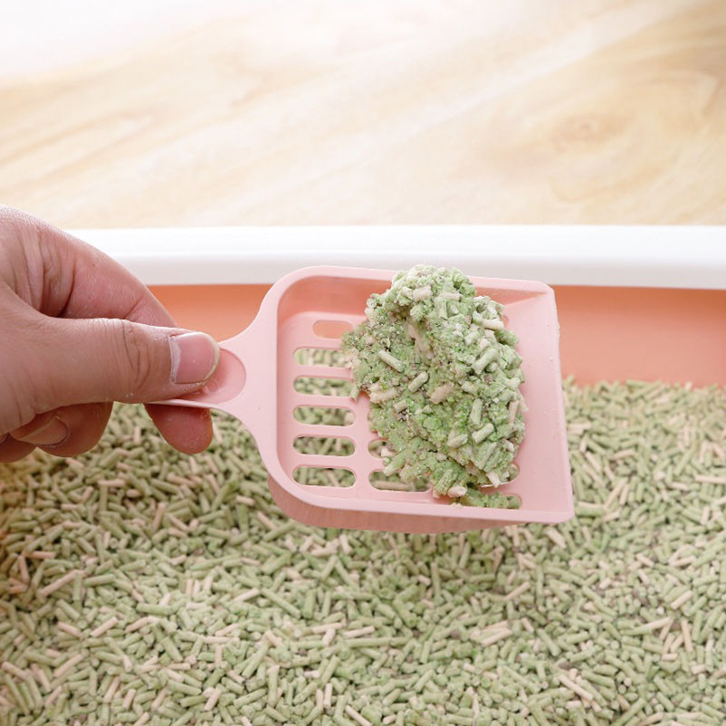 Saringan Pasir Kucing Model Ba - Food Storage With Scoop ulasan dan harga