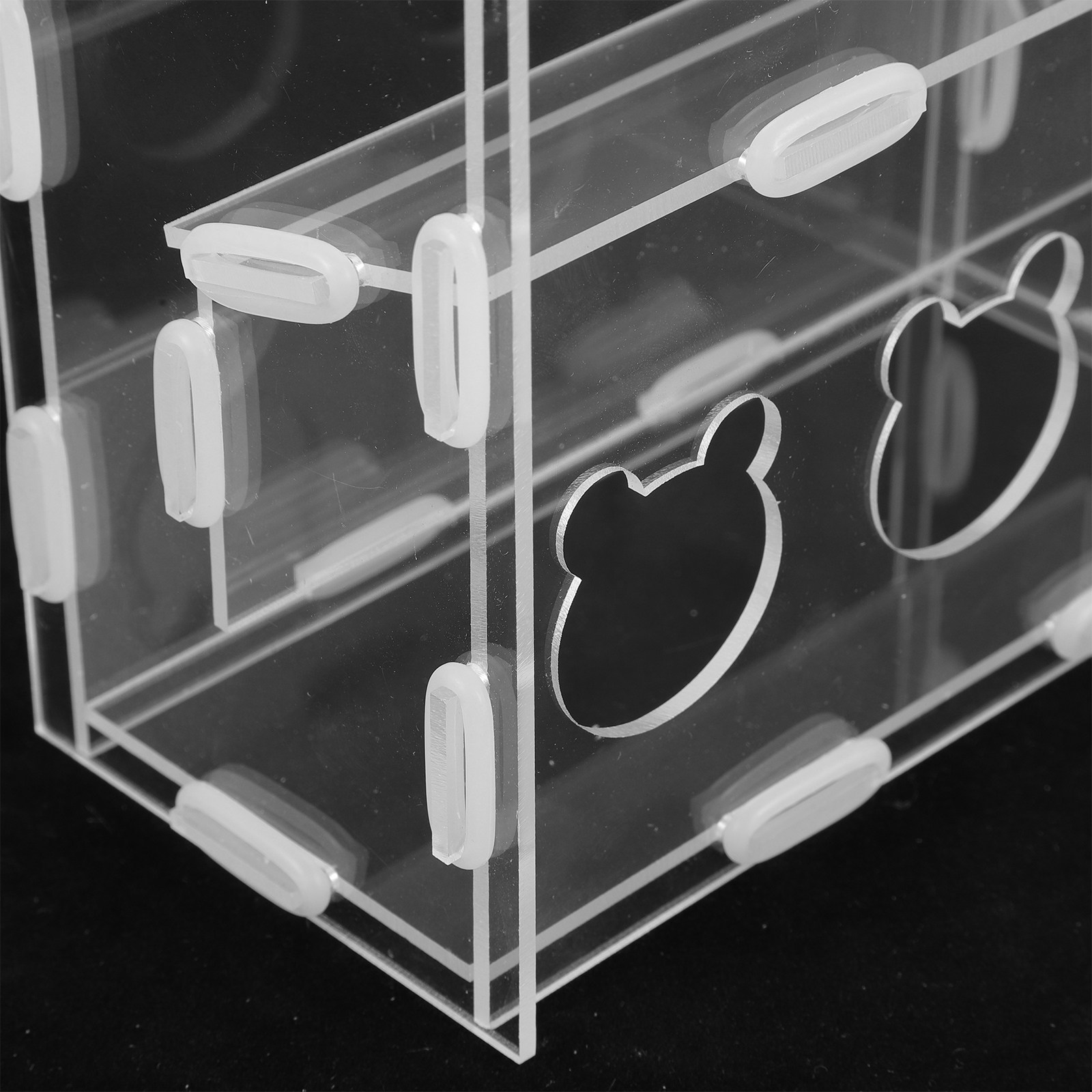 Kotak Pakan Ayam Otomatis Tran - Food Storage Acrylic Containers ulasan dan harga