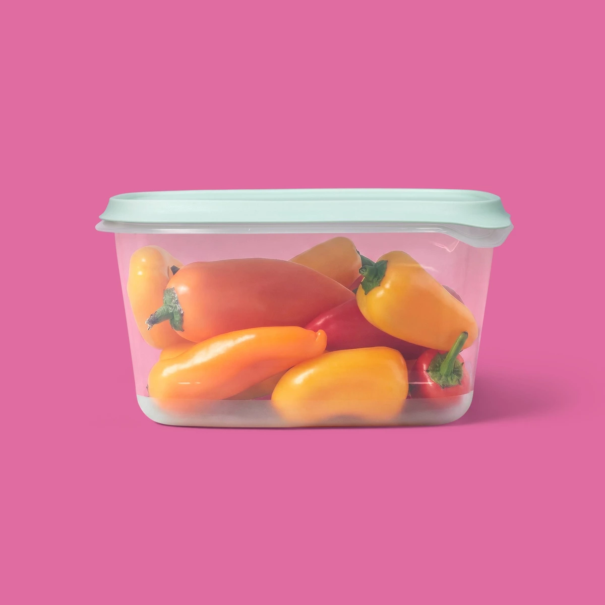 2026 Paket Baru 2 Buah Wadah P - Food Storage Freezer Containers ulasan dan harga